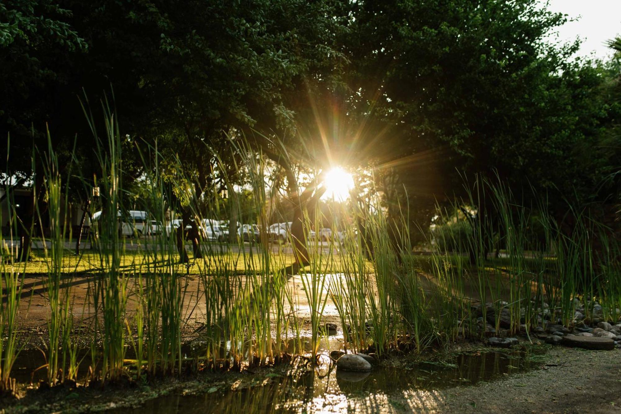 Upington African Vineyard Boutique Hotel & Spa Keimoes Exterior foto